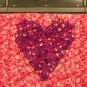 Meet your Posher, Karla